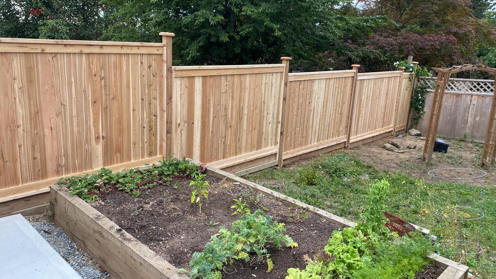Cedar Fence